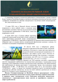 Помните об опасности рыбной ловли в охранной зоне линий электропередачи!